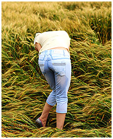 alice wets her jeans shorts in the wheat field 04
