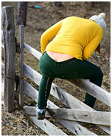 gemma climbs fence pees green jeans 00