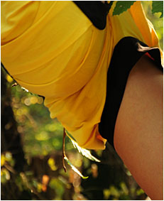 dee climbing down a tree pees her yellow shorts4